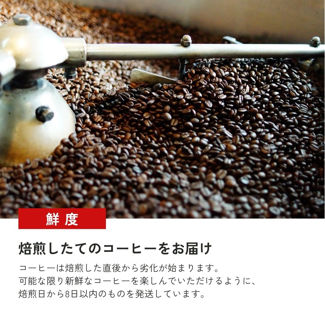 マウンテンコーヒー】コーヒー豆/ペルー モンテアルト – MOUNTAIN COFFEE ONLINE