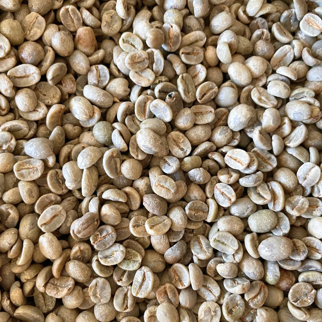 コーヒー生豆 – MOUNTAIN COFFEE ONLINE